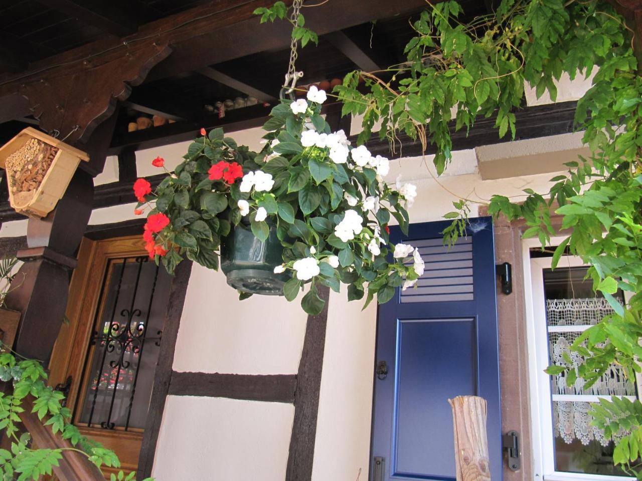 La Ferme De Louise Bed & Breakfast Hohengoeft Luaran gambar